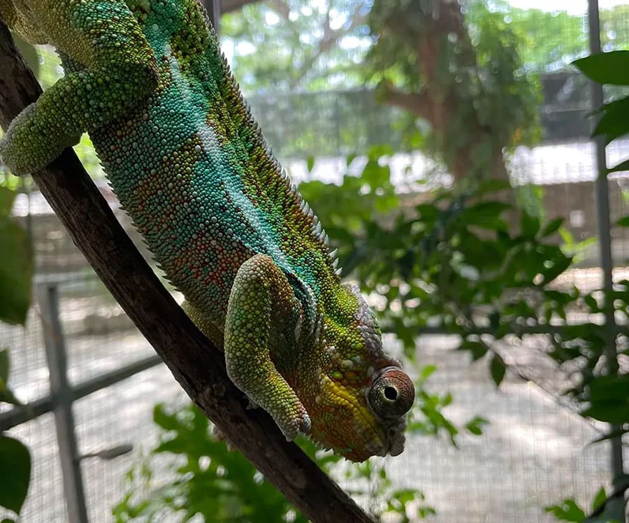 Zoológico